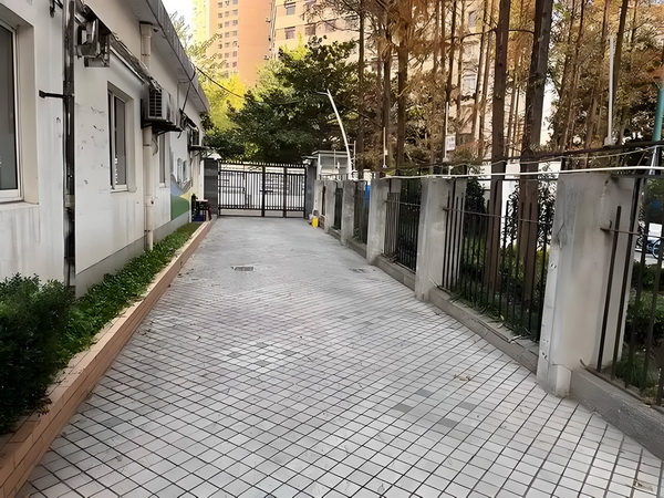冷雨名花